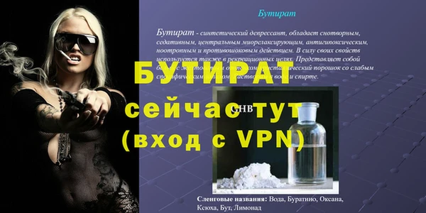 сатива Балахна
