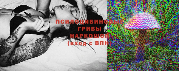 apvp Армянск